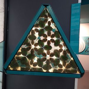 MUZEJ ILUZIJA HK9 (13)