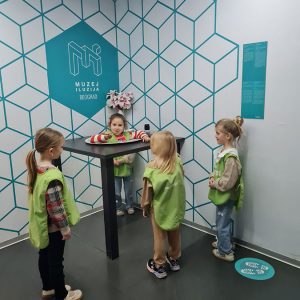 MUZEJ ILUZIJA HK9 (23)