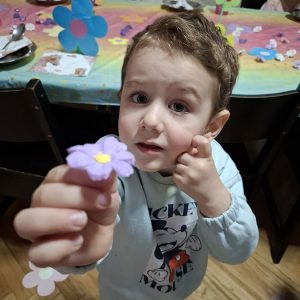 VELIKI CVETNI KARNEVALSKI MASKENBAL HK9 (7)