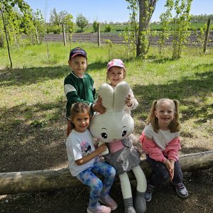 DEČIJA OAZA ZABAVE (26)