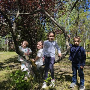 GDE JE PRIRODA TU SMO MI (17)