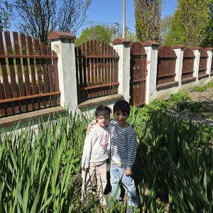 GDE JE PRIRODA TU SMO MI (6)