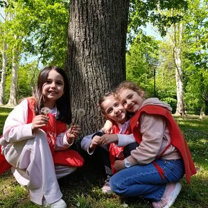 PČELARSKA AVANTURA U PRIRODI HK6 (50)