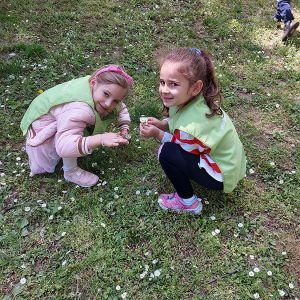 PČELARSKA AVANTURA U PRIRODI HK9 (48)
