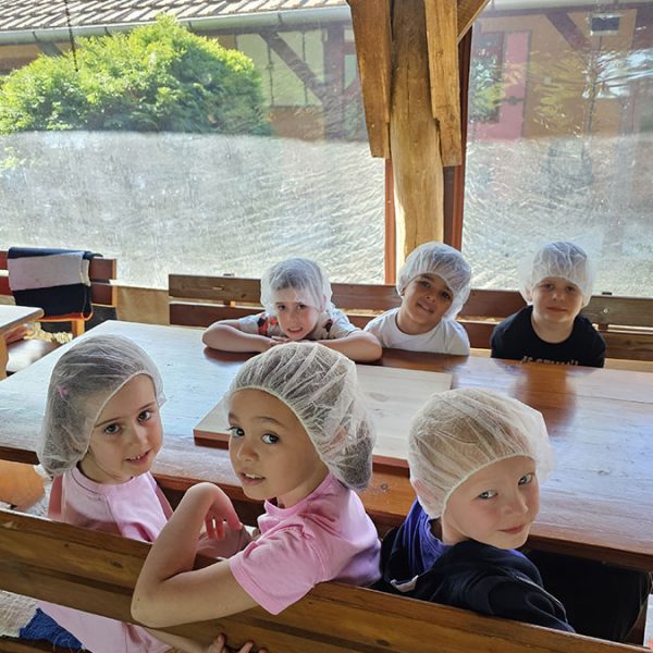 PRIČA TESTA I OSMEHA (1)