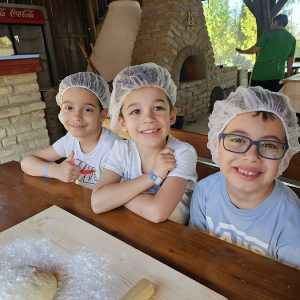 PRIČA TESTA I OSMEHA (5)