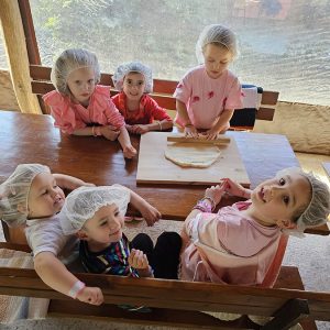 PRIČA TESTA I OSMEHA (6)