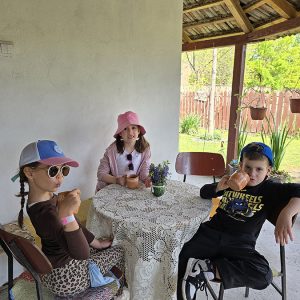 ŠAPAT GLINE I DEČIJE MAŠTE (77)