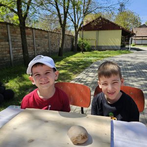 SLATKA UMETNOST MEDENJAKA (18)