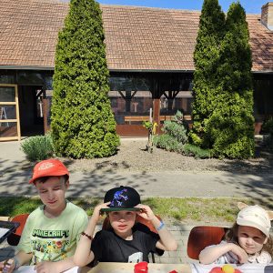 SLATKA UMETNOST MEDENJAKA (20)