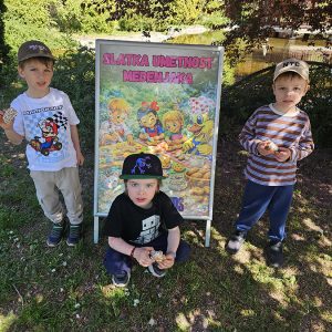 SLATKA UMETNOST MEDENJAKA (30)