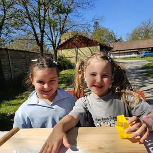 SLATKA UMETNOST MEDENJAKA (4)