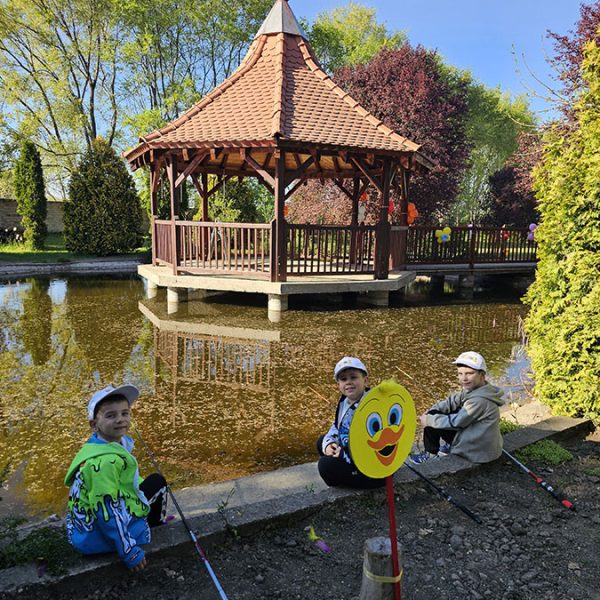 U POTRAZI ZA ZLATNOM RIBICOM (1)