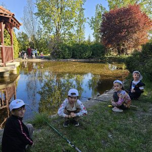 U POTRAZI ZA ZLATNOM RIBICOM (11)