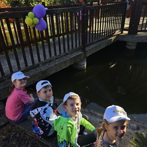 U POTRAZI ZA ZLATNOM RIBICOM (12)