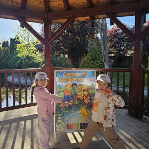 U POTRAZI ZA ZLATNOM RIBICOM (18)