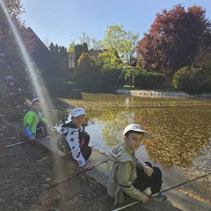 U POTRAZI ZA ZLATNOM RIBICOM (2)