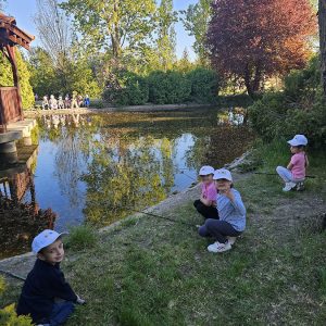 U POTRAZI ZA ZLATNOM RIBICOM (22)