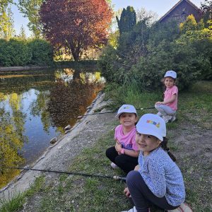 U POTRAZI ZA ZLATNOM RIBICOM (23)