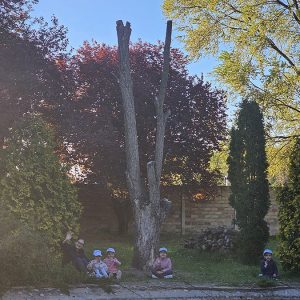 U POTRAZI ZA ZLATNOM RIBICOM (25)