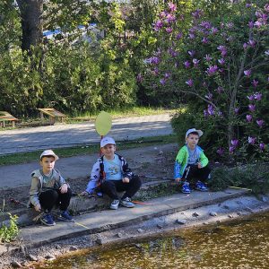 U POTRAZI ZA ZLATNOM RIBICOM (3)