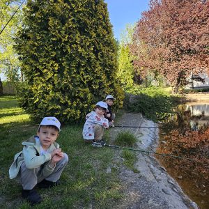 U POTRAZI ZA ZLATNOM RIBICOM (5)