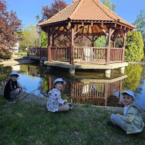 U POTRAZI ZA ZLATNOM RIBICOM (6)