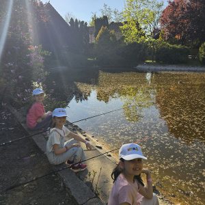 U POTRAZI ZA ZLATNOM RIBICOM (7)