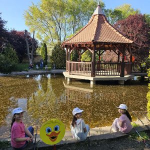 U POTRAZI ZA ZLATNOM RIBICOM (8)