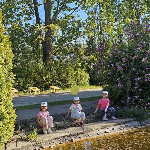 U POTRAZI ZA ZLATNOM RIBICOM (9)