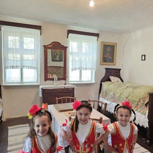 U SVETU TRADICIJE (38)