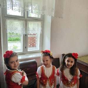 U SVETU TRADICIJE (9)