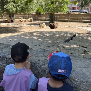 IZLET - ZOO VRT HK7 (105)