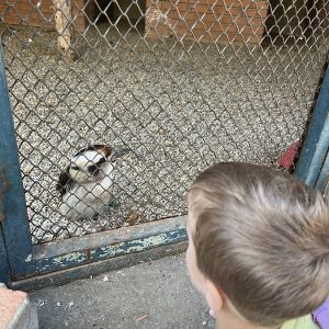 IZLET - ZOO VRT HK7 (97)