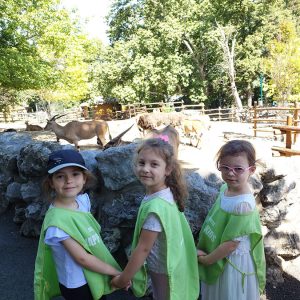 IZLET - ZOO VRT HK9 (2)