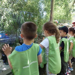 IZLET - ZOO VRT HK9 (5)