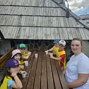 PANORMASKI POGLED KA BUDUĆNOSTI (56)