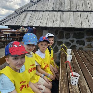 PANORMASKI POGLED KA BUDUĆNOSTI (60)