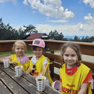 PANORMASKI POGLED KA BUDUĆNOSTI (61)