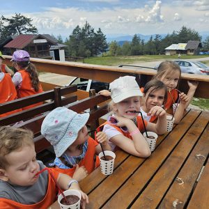 PANORMASKI POGLED KA BUDUĆNOSTI (65)