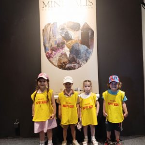 PRIRODNJAČKI MUZEJ I OBILAZAK KALEMEGDANA HK1 (58)