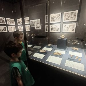 PRIRODNJAČKI MUZEJ I OBILAZAK KALEMEGDANA HK5 (29)