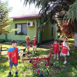TAMIŠKI KONACI HK6 (16)