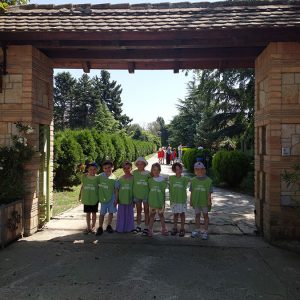 TAMIŠKI KONACI HK9 (5)