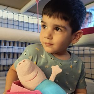 VEČE OMILJENIH IGRAČAKA HK4 (25)