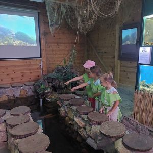 MALI DUNAV HK9 (25)