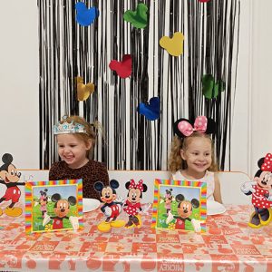 NOĆNA AVANTURA SA MICKEY AND MINNIE HK1 (2)