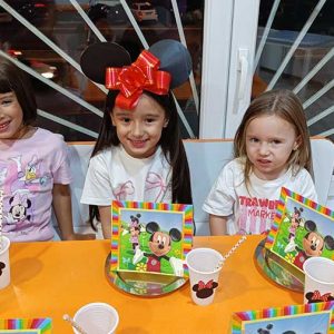 NOĆNA AVANTURA SA MICKEY AND MINNIE HK7 (8)