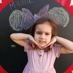 NOĆNA AVANTURA SA MICKEY AND MINNIE HK9 (30)