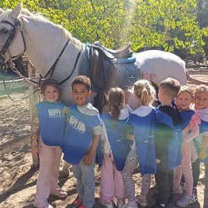 BOJČINSKA ŠUMA HK4 (76)